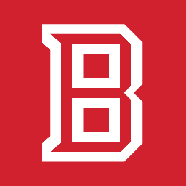 Bradley Braves 2012-Pres Secondary Logo t shirts DIY iron ons v4
